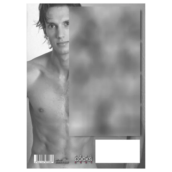 Real Cocks 2027 - calendar erotic de perete (1 buc.)