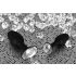You2Toys - Diamond - dop anal din silicon (mic)