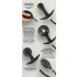 You2Toys - plug anal cu bile, pompa (negru)