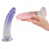 You2Toys - Set strap-on cu dildo dublu - 2 dildouri