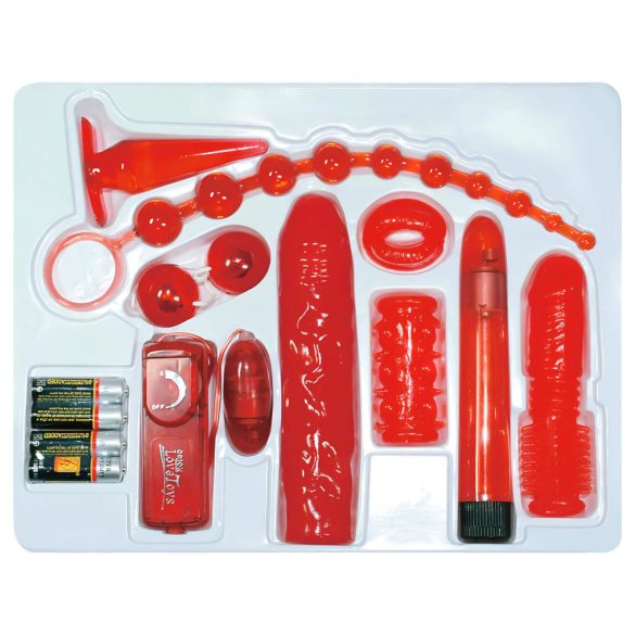 You2Toys - Set erotic cu trandafiri roșii - vibrator, 9 piese