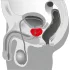 You2Toys - Masajator prostată rotativ - vibrator negru