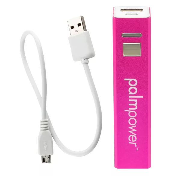 PalmPower Wand - vibrator masaj cu powerbank - roz-gri