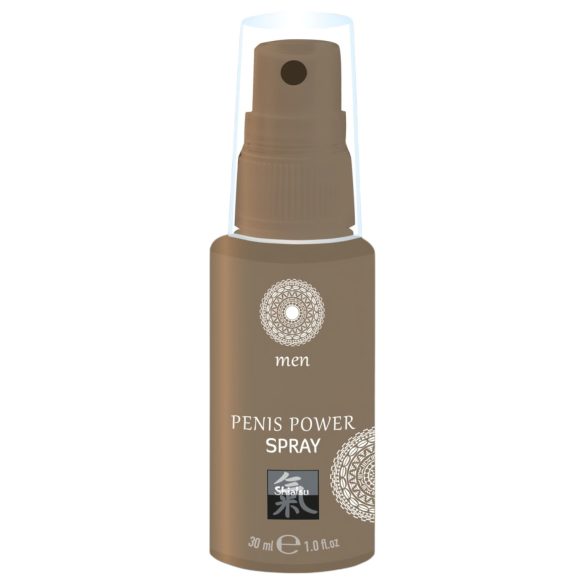 HOT Shiatsu - spray erectil stimulare bărbați - 30ml