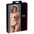 Cottelli - tanga deschis cu dantelă și perle - negru - XL