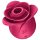 Satisfyer Pro 2 Rose Modern - Stimulator clitoridian cu unde (roșu)