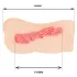 Elev de liceu TAMASHII - masturbator artificial de tip vagin hentai (natur)