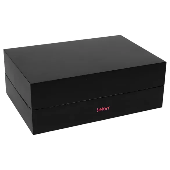 LETEN SM FUTURE PRO - masturbator electric cu încălzire și mișcare sus-jos