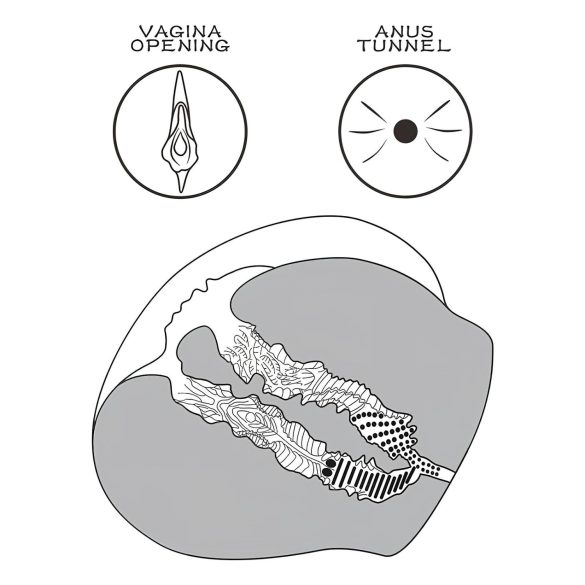 Lovetoy Streetgirl's 12 - vagină artificială tip trunchi și tanga