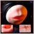 Leopard - masturbator gura și vagin cu vibrator penis - material natural