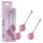 Passion Play - Set de bile Kegel (roz)