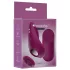Passion Play - vibrator pentru chiloți cu telecomandă, magnetic (bordo)