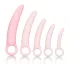 CalExotics Inspire - set dilatatoare vaginale medicale - silicon roz