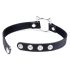 Master Series Kinky Kitty - zgardă pisicuță cu inel (negru)