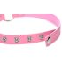 Master Series Kinky Kitty - zgardă cu cap de pisică și inel (roz)