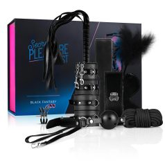 Secret Pleasure Chest - set avansat BDSM 14 piese (negru) Secret Pleasure Chest - set avansat BDSM 14 piese (negru)