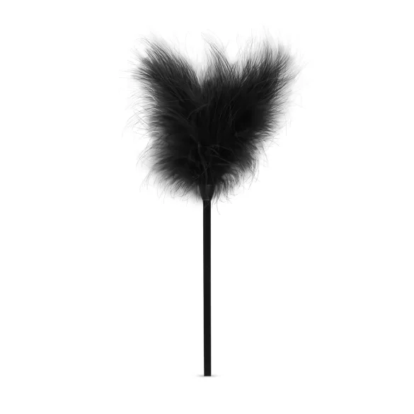 Secret Pleasure Chest - set BDSM avansați - 14 piese - negru