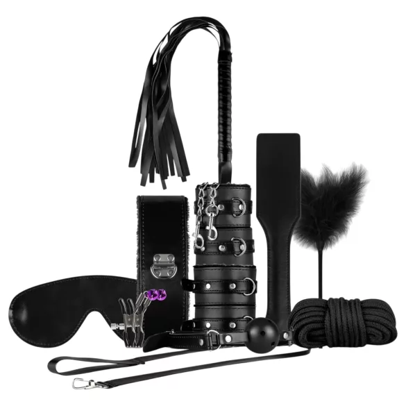 Secret Pleasure Chest - set BDSM avansați - 14 piese - negru