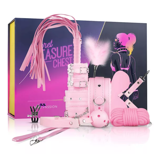 Secret Pleasure Chest - set BDSM avansat - 14 piese - roz