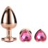 Gleaming Love - Set anal romantic rosegold (3 piese)