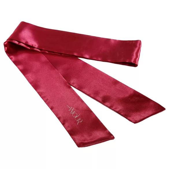 Dreamtoys Amour - set vibrator chiloți purtabil (roșu)